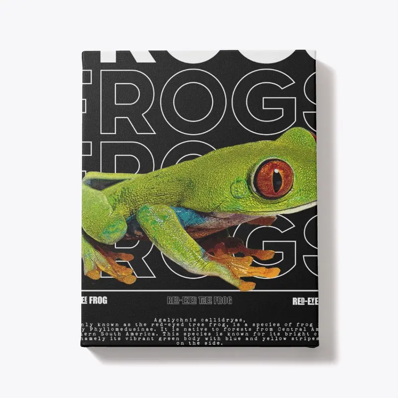 Red Eyed Tree Frog Streetwear Frog