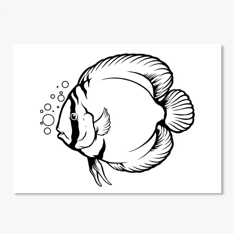 Discus Sketch Fish Keeper