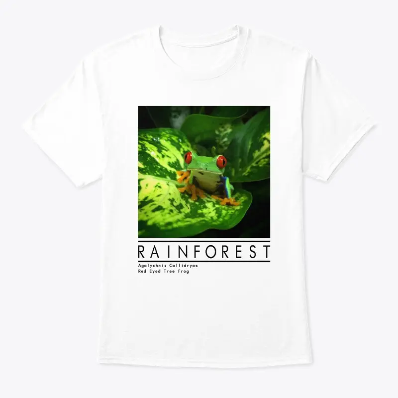 Red Eyed Tree Frog Rainforest Design