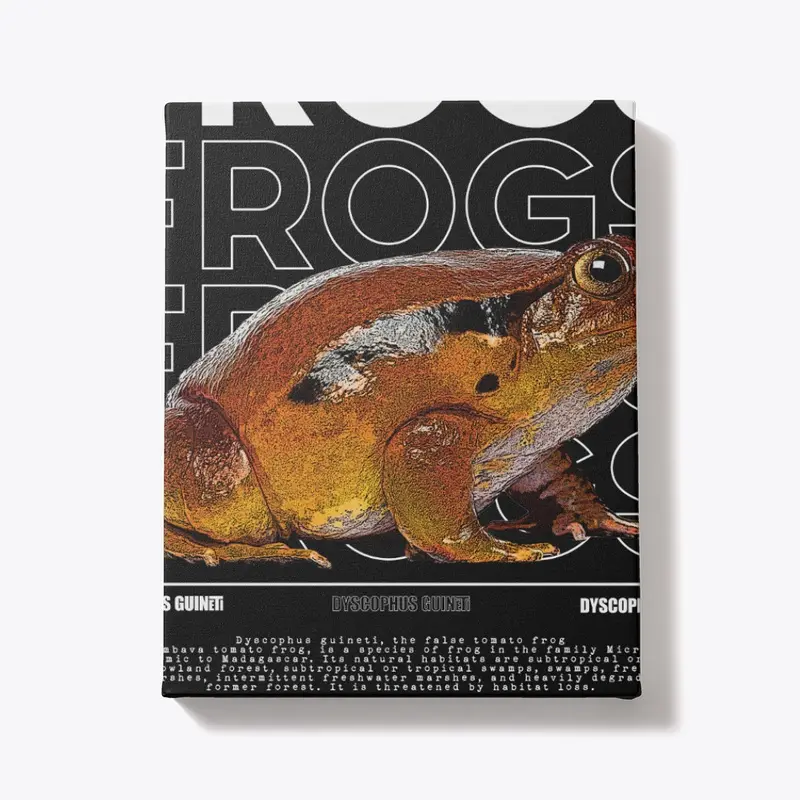 False Tomato Frog Streetwear Frog Keeper