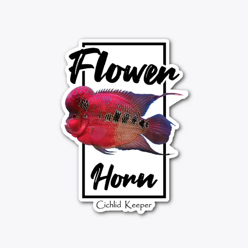 Flowerhorn Cichlid Fish Keeper