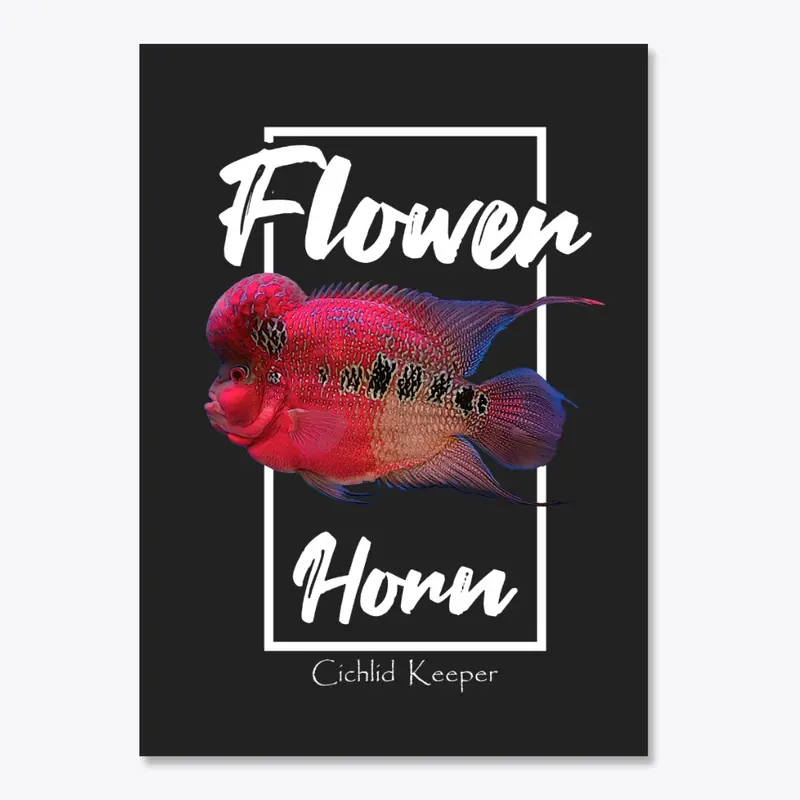 Flowerhorn Cichlid Fish Keeper