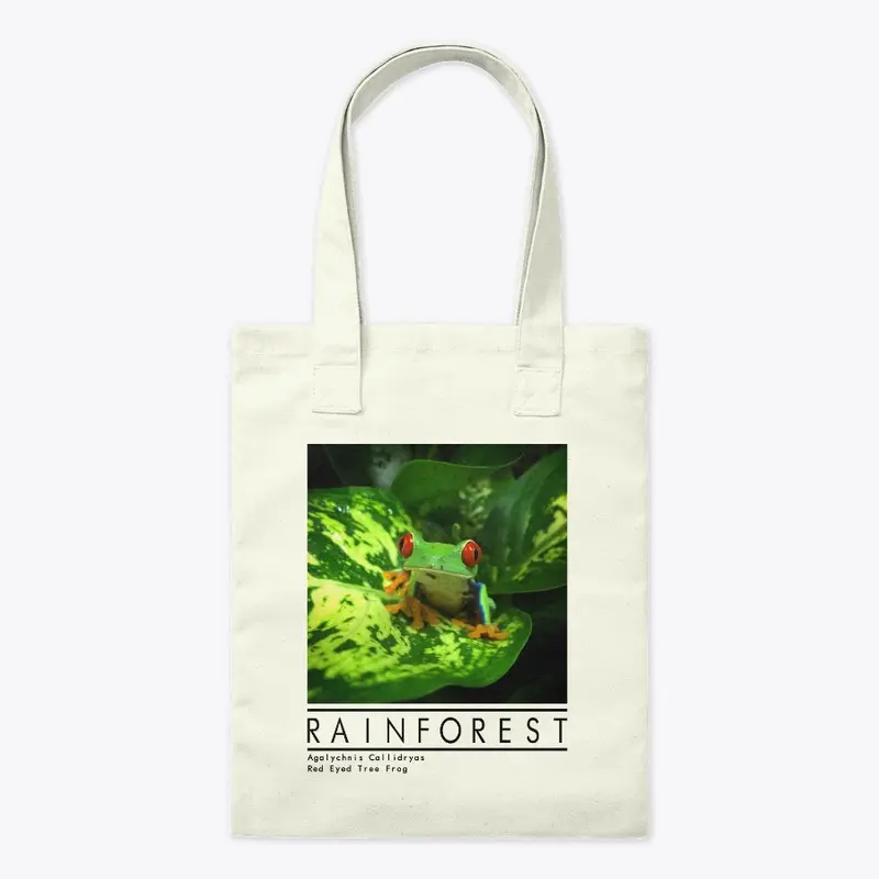 Red Eyed Tree Frog Rainforest Design