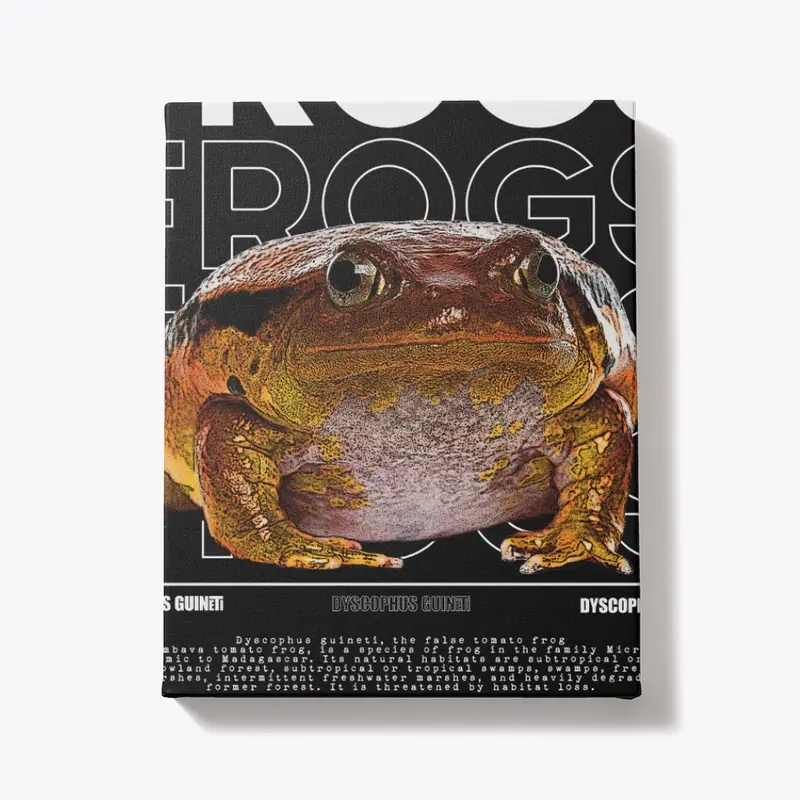 False Tomato Frog Streetwear Frog Keeper