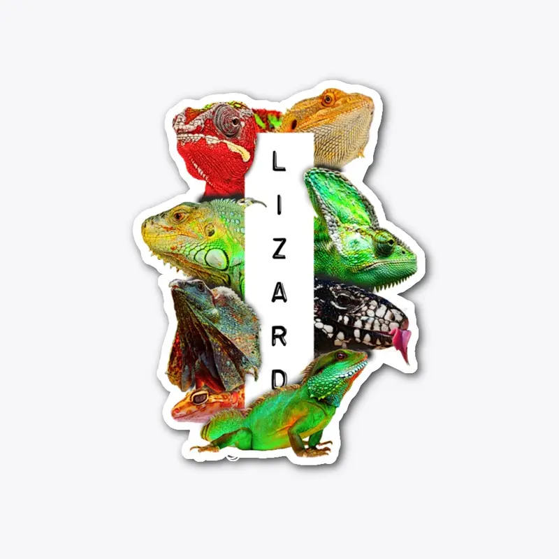 Lizard Reptile Owner Exotic Pet