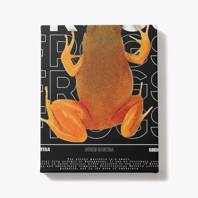 Golden Mantella Frog Streetwear Frog